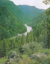 Salmon River