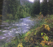 Clearwater River