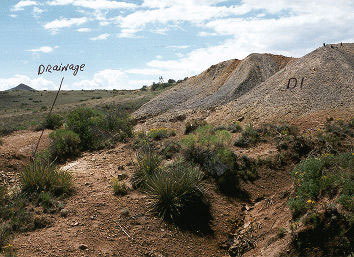 Old Mine Dump