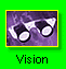 Vision