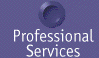 Professional Services